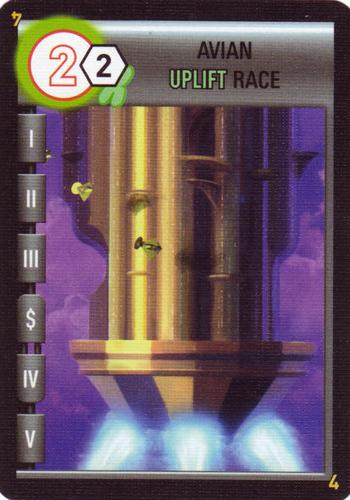 Avian Uplift Race